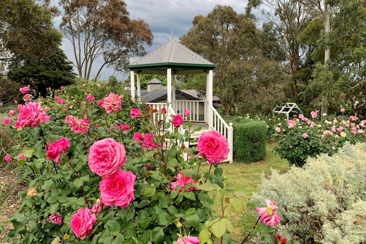 Mornington Peninsula Dream Wedding