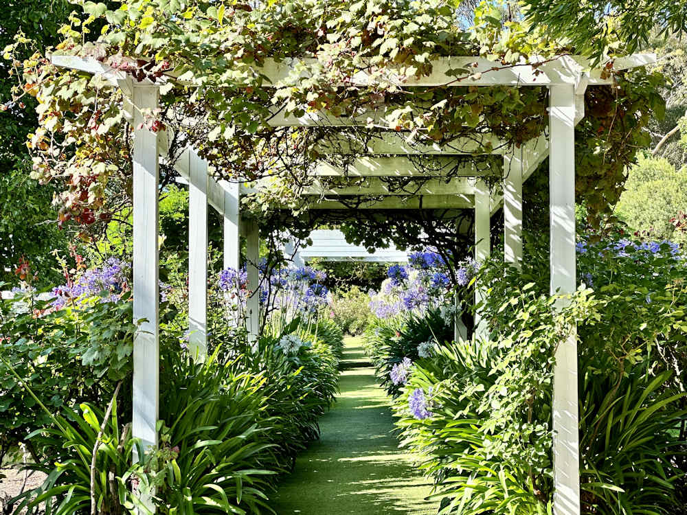 Dalywaters Mornington Wedding Gardens